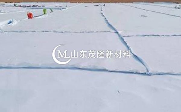 《台辉高速》土工布、土工格栅施工