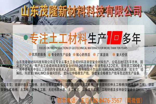 柱点土工膜是什么? 第1张