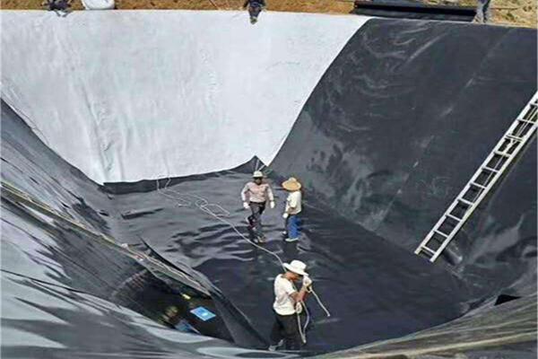 土工膜应用在水产养殖中有什么作用？  第2张