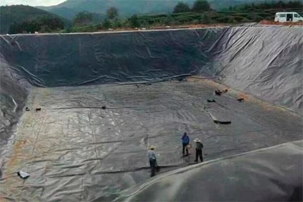 对虾养殖池土工膜 第2张