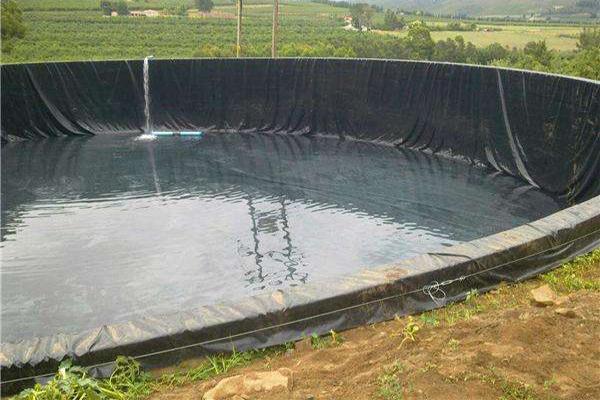 土工膜在藕池中的应用 第1张