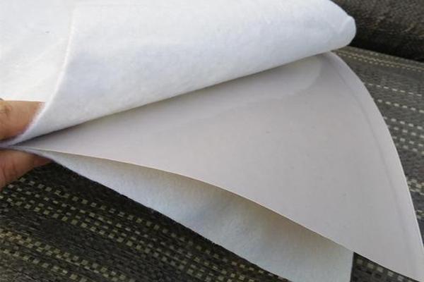 复合土工膜可以用钢钉固定吗  第1张